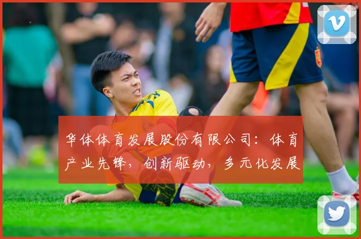 华体体育发展股份有限公司：体育产业先锋，创新驱动，多元化发展，引领行业新潮流